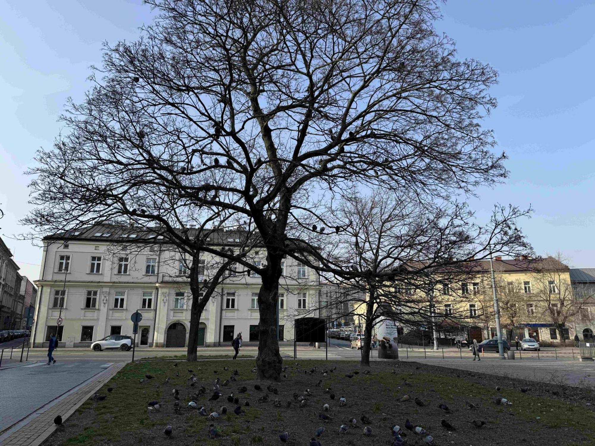 Art Apartment Stare Podgorze Free Parking كراكوفيا المظهر الخارجي الصورة